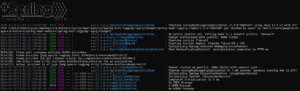 Default Logging Level 