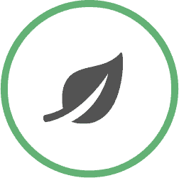 rws-team-course-page-top-icon.png